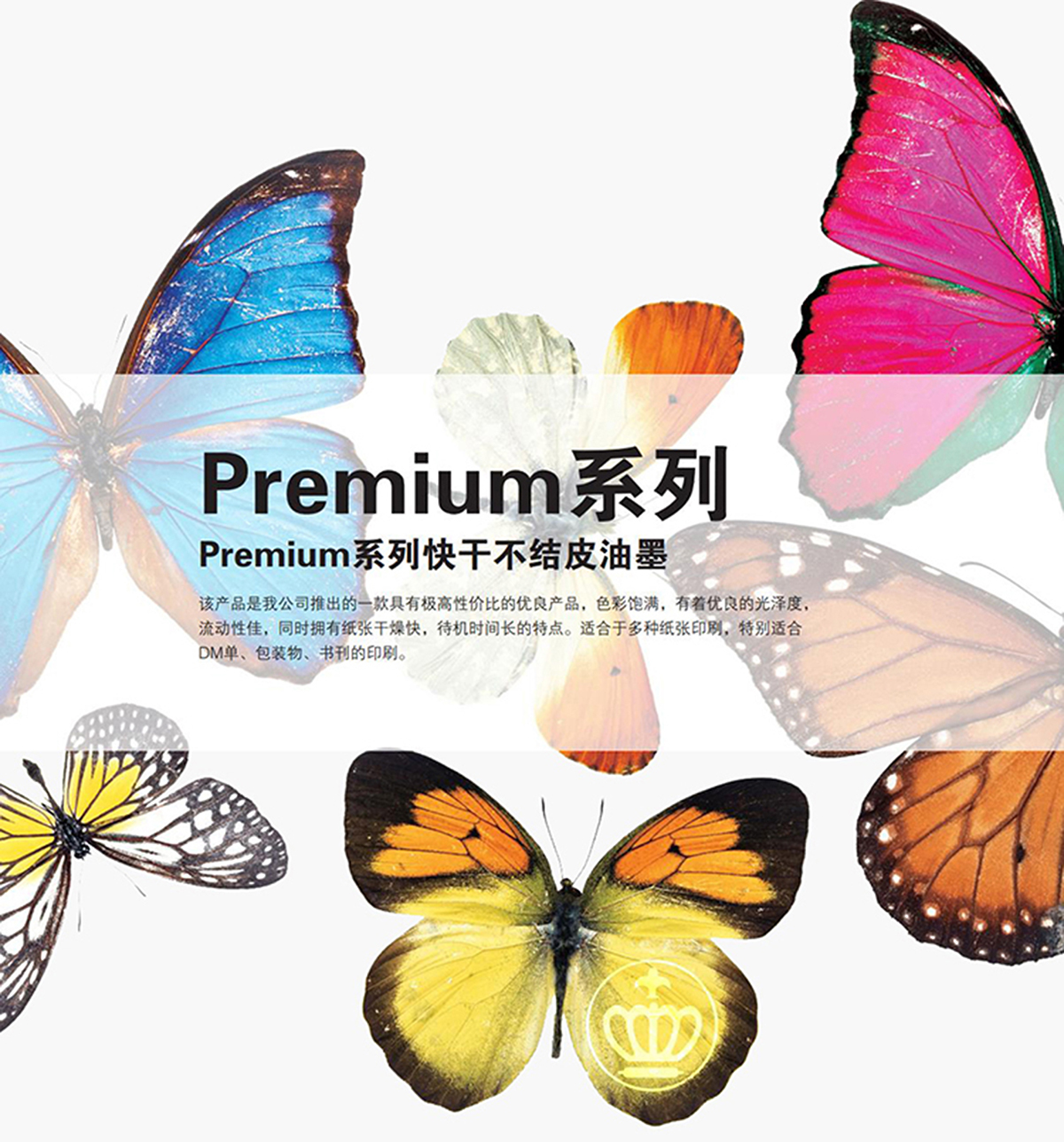 1658563551241674.jpg 蝴蝶.jpg