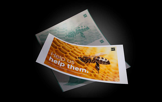 1660122478496526.jpg 2.jpg